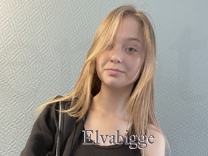 Elvabigge