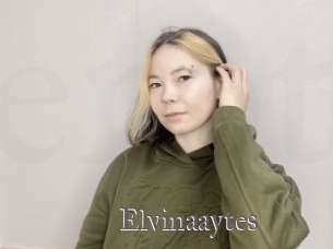 Elvinaaytes