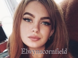 Elwynacornfield