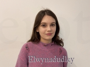 Elwynadudley
