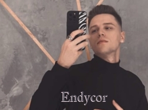 Endycor