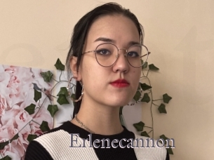 Erlenecannon