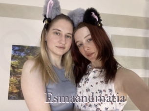 Esmaandmatia