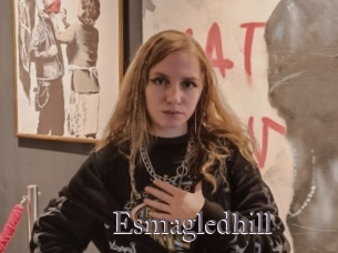 Esmagledhill