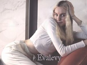 Evalevy