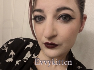 Evvykitten