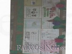 FALCO8INCHss