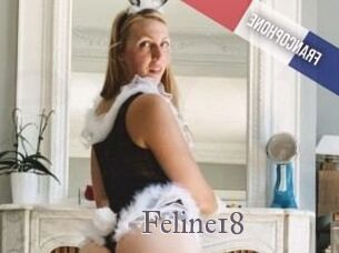 Feline18