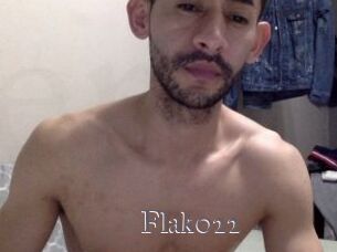 Flak022