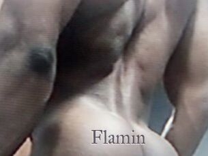 Flamin