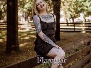 Flamygir