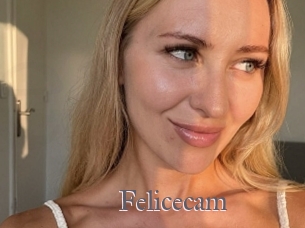 Felicecam