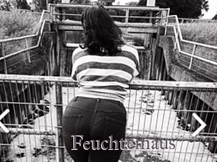 Feuchtemaus