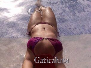 Gaticaluna
