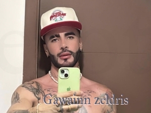 gawainn_zeldris Erotik Cams