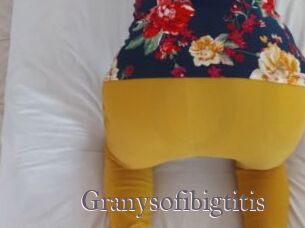 Granysofibigtitis