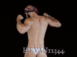 HEVAN12344