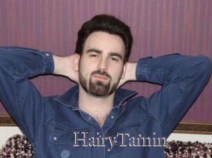 HairyTamin