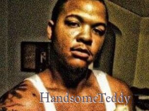 HandsomeTeddy