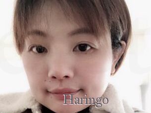 Haringo