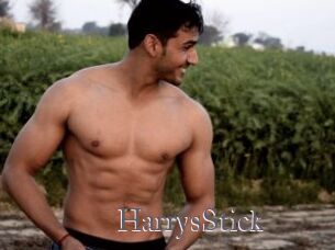 HarrysStick