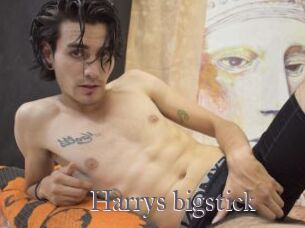 Harrys_bigstick