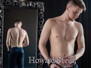 Howard_Stein