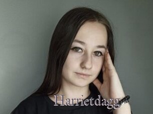 Harrietdagg