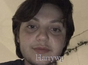 Harrywp