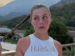 Hildfleek