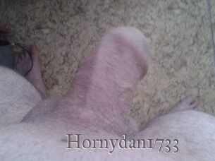Hornydan1733