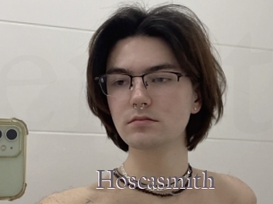 Hoscasmith