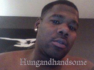 Hungandhandsome
