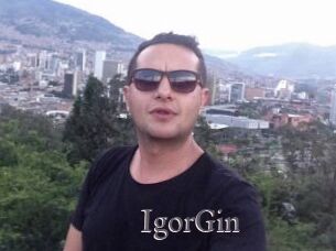 IgorGin