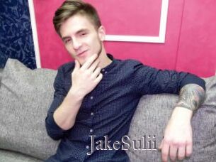 JakeSulii