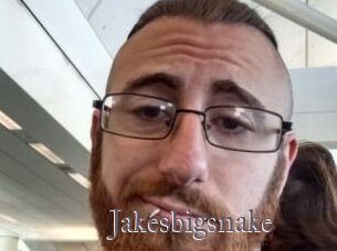 Jakesbigsnake