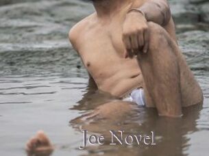 Joe_Novel