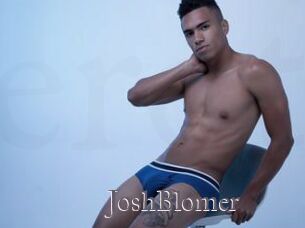 JoshBlomer