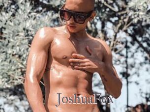 JoshuaFox