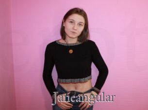Janeangular