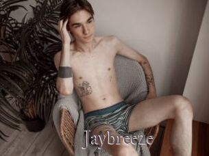 Jaybreeze