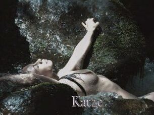 Katze