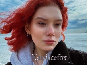 Kandicefox