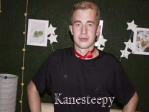 Kanesteepy