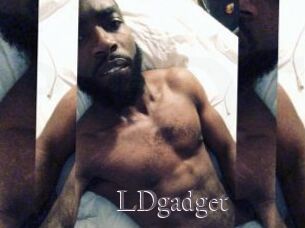 LDgadget