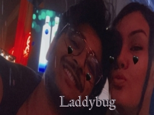 Laddybug