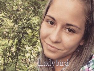 Ladybird