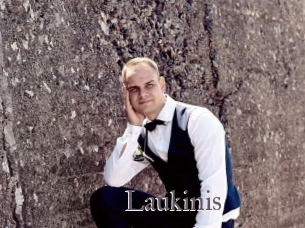 Laukinis