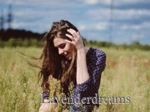 Lavenderdreams