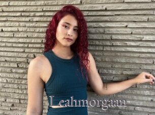Leahmorgaan